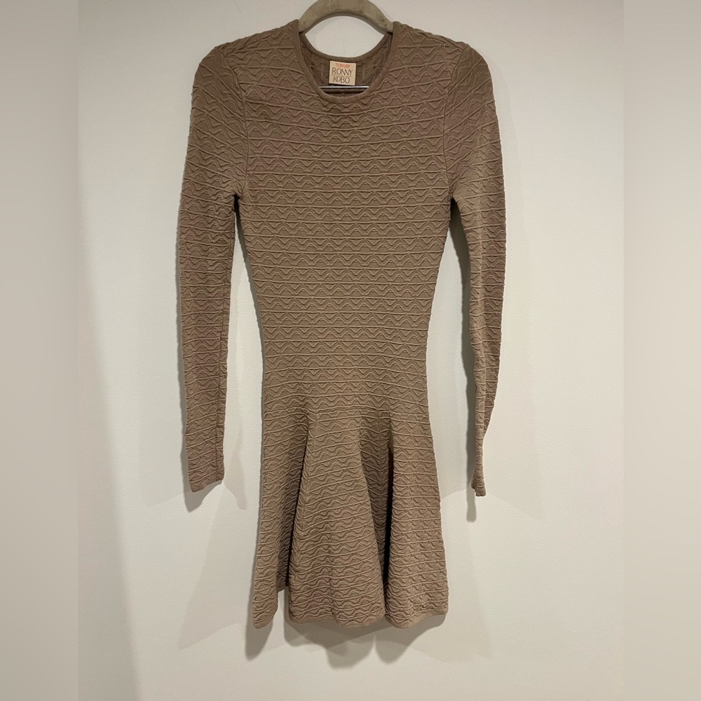 Torn by Ronny Kobo Textured Brown Long Sleeve Dress